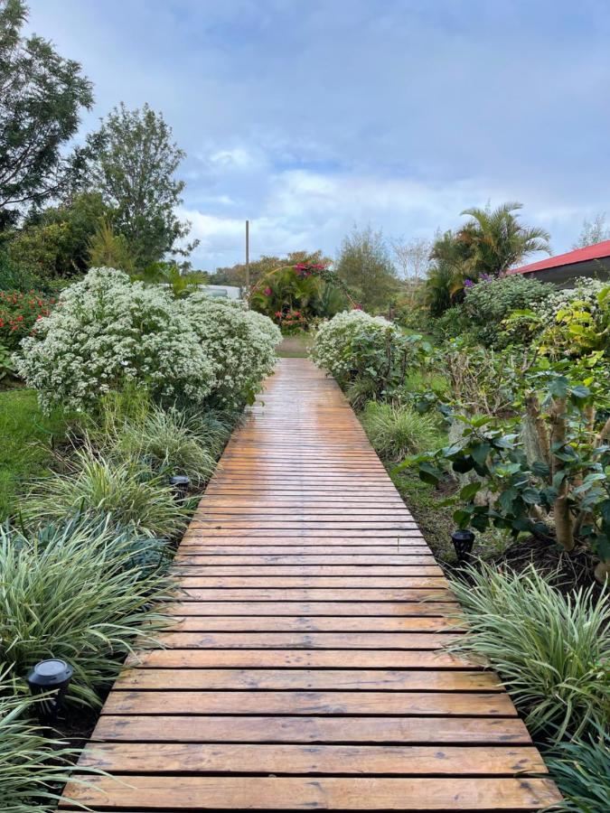 Teanehi Bed&Breakfast Hanga Roa Exterior foto